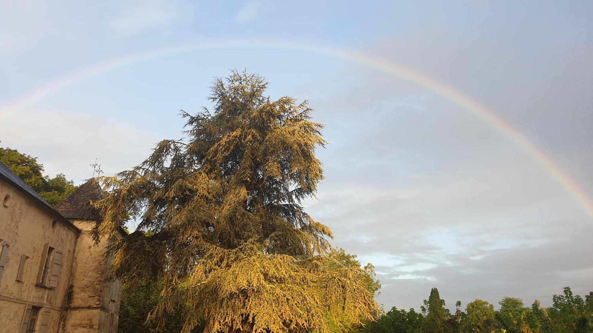 Chateau De Courtebotte Saint-Jean-de-Blaignac ภายนอก รูปภาพ